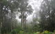 Arborlee Rainforest Retreat - thumb 0