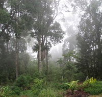 Arborlee Rainforest Retreat - New South Wales Tourism 