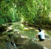 The Canopy Rainforest Tree Houses and Wildlife Sanctuary - New South Wales Tourism 
