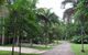 Lync-Haven Rainforest Retreat - thumb 1