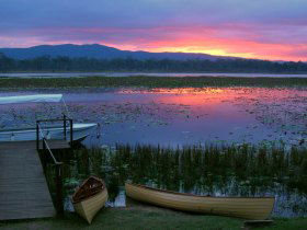 Jabiru Safari Lodge At Mareeba Wetlands - New South Wales Tourism  2