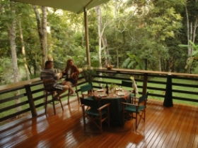 Cedar Park Rainforest Resort - New South Wales Tourism  3