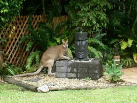 Bluewater Bed And Breakfast Cairns - New South Wales Tourism  3