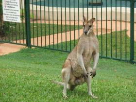 Villa Marine Holiday Apartments - New South Wales Tourism  1