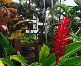 Club Tropical Resort Port Douglas - New South Wales Tourism  2