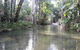 Finch Hatton Gorge Cabins - thumb 2