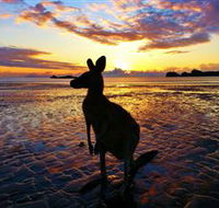 Cape Hillsborough Nature Tourist Park - New South Wales Tourism 