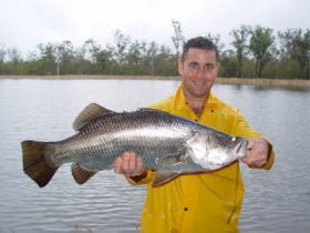 Mango Paradise Bed And Barra - New South Wales Tourism  1