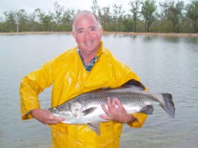 Mango Paradise Bed And Barra - New South Wales Tourism  2