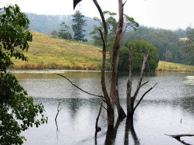 Rossmount Rural Retreat - New South Wales Tourism  1