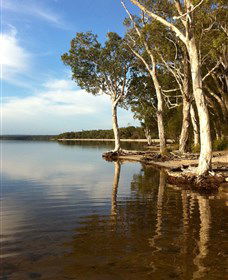 Boreen Point Campground - New South Wales Tourism  1