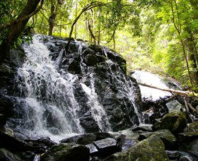 Bellthorpe Stays - Nature's Retreat - New South Wales Tourism  1