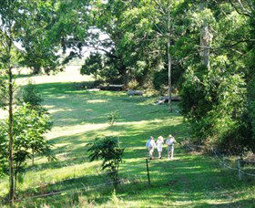 Bellthorpe Stays - Nature's Retreat - New South Wales Tourism  2