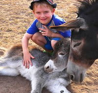 Destiny Boonah ECO Cottages and Donkey Farm