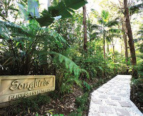 Songbirds Rainforest Retreat - New South Wales Tourism  0
