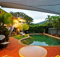 The Odd Gecko - New South Wales Tourism 