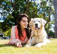 Jacobs Well Tourist Park - New South Wales Tourism 