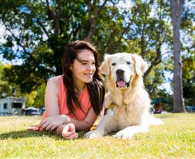 Jacobs Well Tourist Park - New South Wales Tourism  0