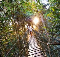 O'Reilly's Rainforest Retreat - New South Wales Tourism 