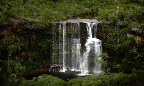 Haggerstone Island Resort - New South Wales Tourism  6