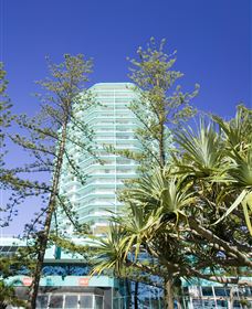 Ocean Plaza Resort - Coolangatta - New South Wales Tourism  1