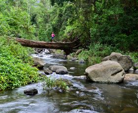 Coolana QLD New South Wales Tourism 