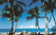 Comfort Resort Blue Pacific - thumb 7