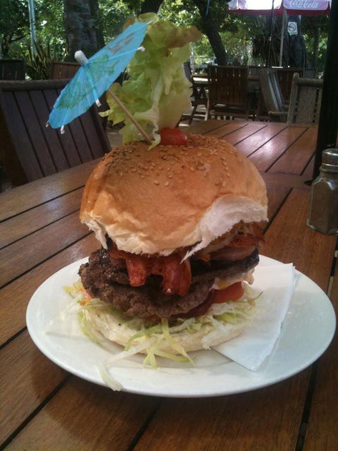 Dingo Beach Hotel - New South Wales Tourism  33