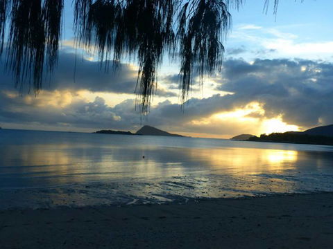 Dingo Beach Hotel - New South Wales Tourism  37