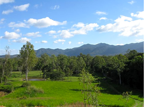Highlander Tavern, Restaurant & Bar - New South Wales Tourism  12