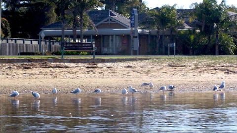BEST WESTERN Coastal Waters Motor Inn - New South Wales Tourism  6