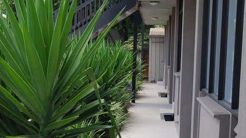 BEST WESTERN Governor Gipps Motor Inn - New South Wales Tourism  1