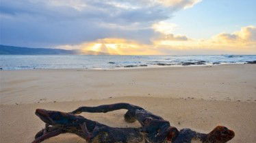 Best Western Apollo Bay Motel And Apartments - New South Wales Tourism  7