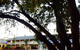 Richmond Motor Inn - thumb 10