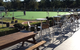 Tea Gardens Country Club & Motel - thumb 5