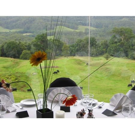 Tranquil Park Mountain Resort - New South Wales Tourism  1