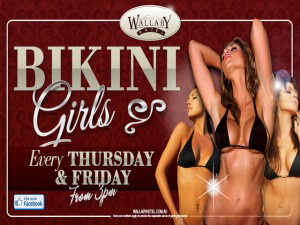 Wallaby Hotel - New South Wales Tourism  3