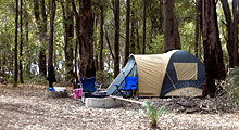 Lake Navarino Holiday Park - New South Wales Tourism  2