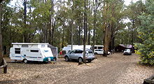 Lake Navarino Holiday Park - New South Wales Tourism  3