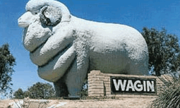 Wagin Motel - New South Wales Tourism  0