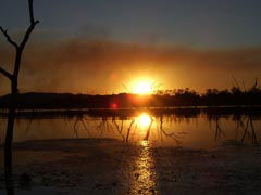 Town Caravan Park - New South Wales Tourism  2