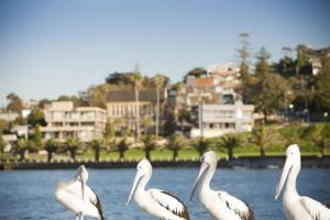 The Sebel Harbourside Kiama - New South Wales Tourism  2