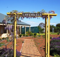 Lavendale Farmstay and Cottages - New South Wales Tourism 