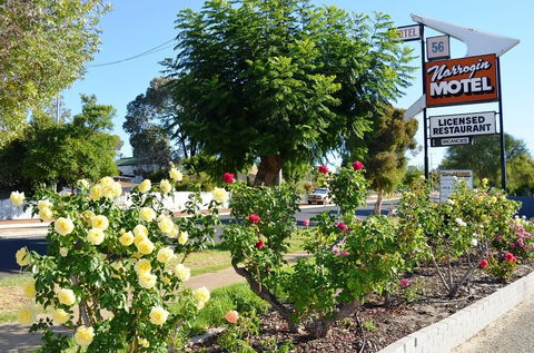 Narrogin Motel - New South Wales Tourism  0