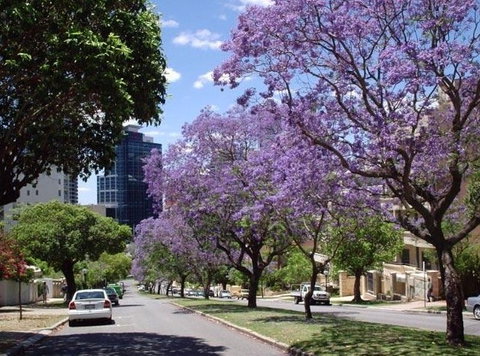 Mountway Holiday Apartments - New South Wales Tourism  3