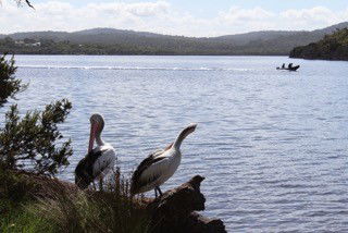 Rest Point Holiday Village - New South Wales Tourism  5