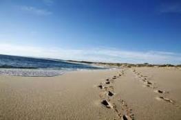 Kalbarri Palm Resort - New South Wales Tourism  4