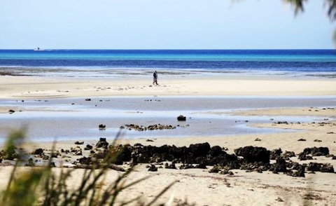 Halcyon Bay - New South Wales Tourism  5