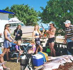 Shark Bay Cottages - New South Wales Tourism 