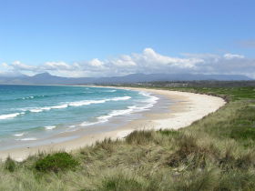 Scamander Tourist Park - New South Wales Tourism  1